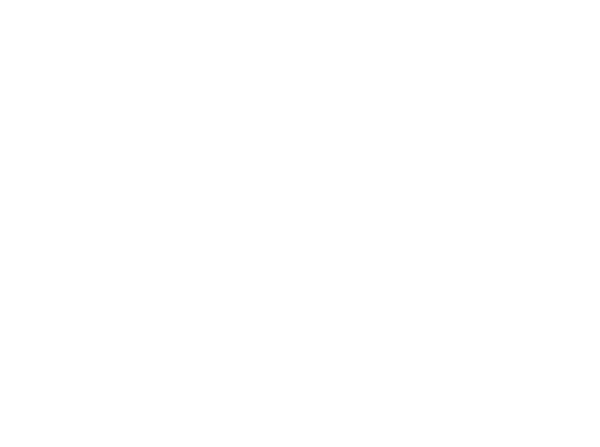 Don Amado logo white